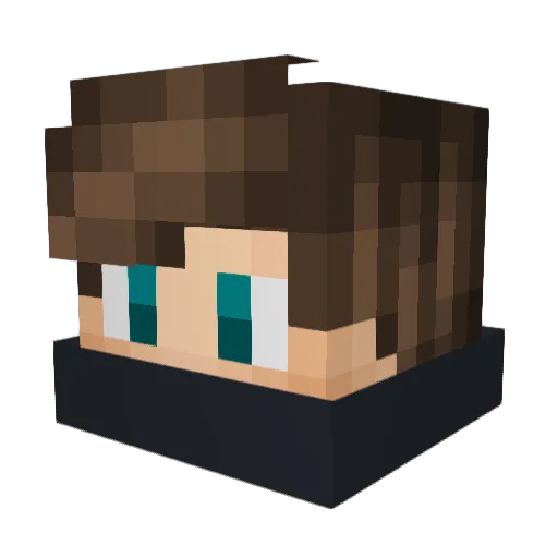 xLeooLux_ Minecraft avatar head, 3D render
