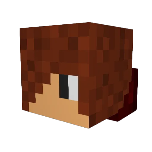xLiNNN Minecraft avatar head, 3D render