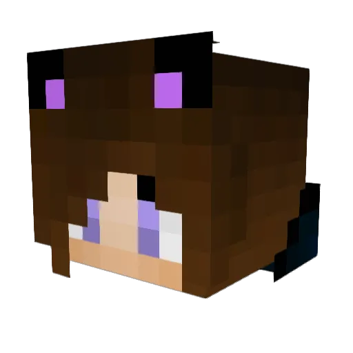 xLilKitKat Minecraft avatar head, 3D render
