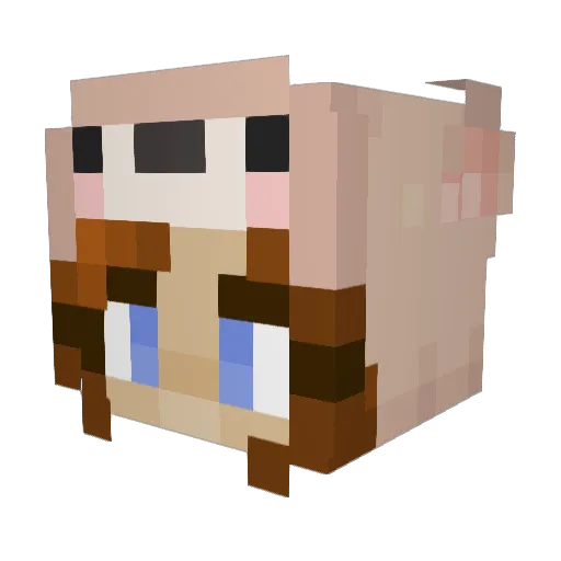 xLilSnowyx Minecraft avatar head, 3D render
