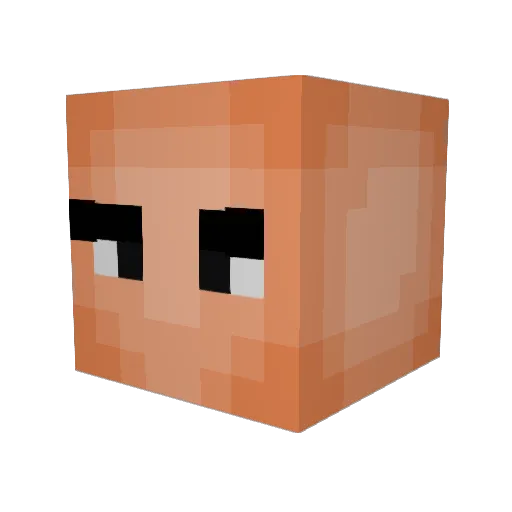 xLinkFrostx Minecraft avatar head, 3D render
