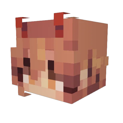 xLiquidfoxx Minecraft avatar head, 3D render