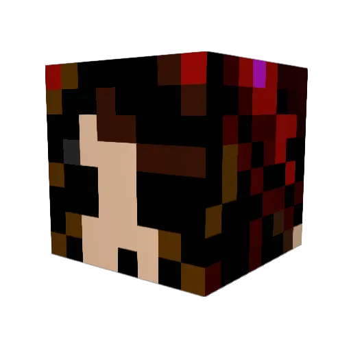 xLiquidx Minecraft avatar head, 3D render