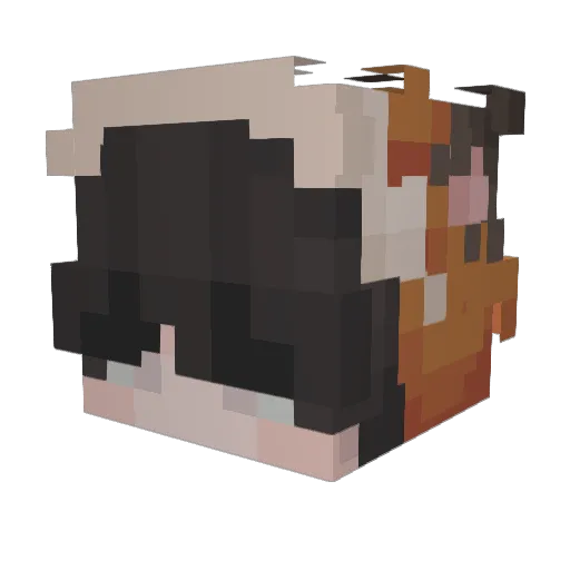 xLisiu Minecraft avatar head, 3D render