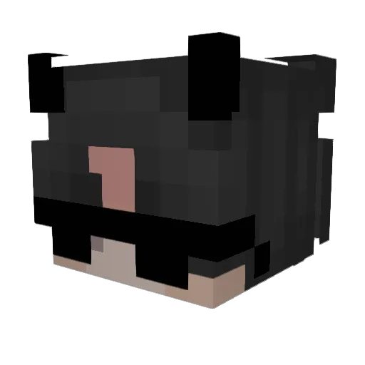 xLithus Minecraft avatar head, 3D render