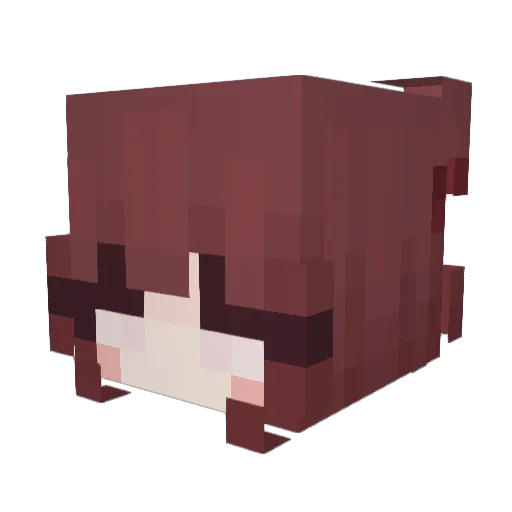 xLits Minecraft avatar head, 3D render