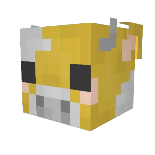 xLittleSally Minecraft avatar head, 3D render