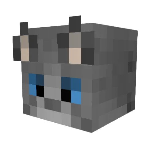 xLittyKitty Minecraft avatar head, 3D render