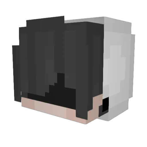 xLonelyAngel Minecraft avatar head, 3D render