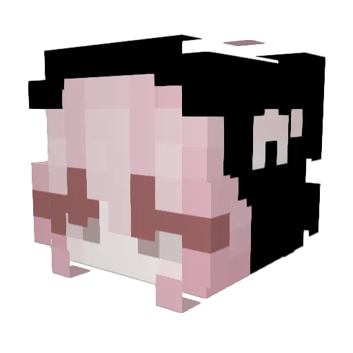 xLucjanek Minecraft avatar head, 3D render