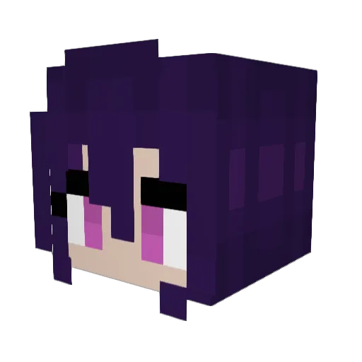 xLukas0507x Minecraft avatar head, 3D render