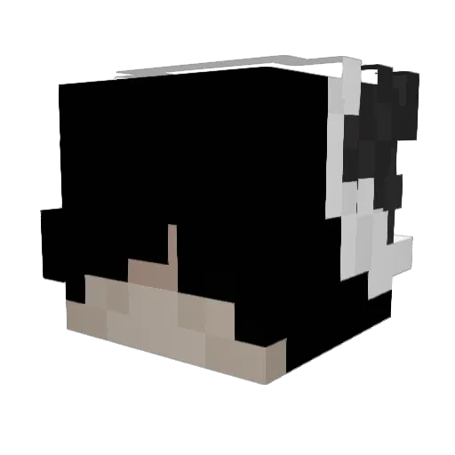 xLukaseQ Minecraft avatar head, 3D render
