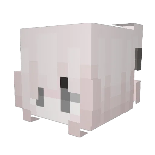 xLukrecja Minecraft avatar head, 3D render