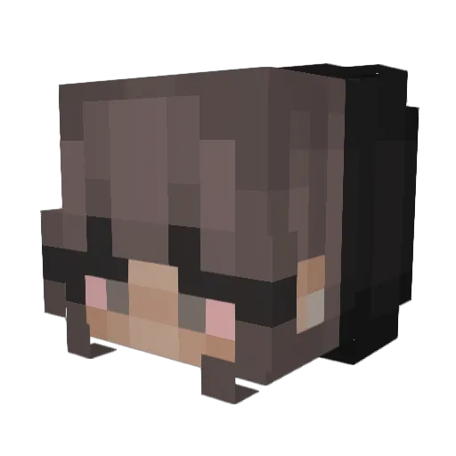 xLunarNova Minecraft avatar head, 3D render