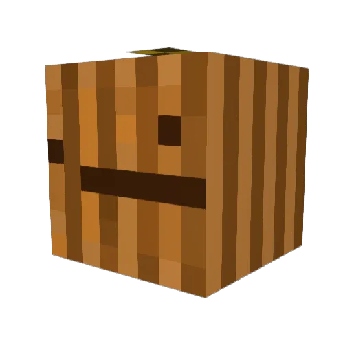 xLunex_ Minecraft avatar head, 3D render