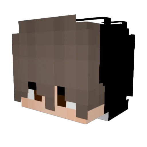xLxcaaa Minecraft avatar head, 3D render
