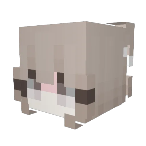 xMaja_Firekx Minecraft avatar head, 3D render