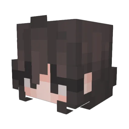 xMaplesan Minecraft avatar head, 3D render