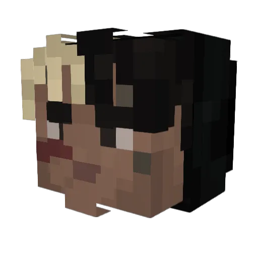 xMata13 Minecraft avatar head, 3D render