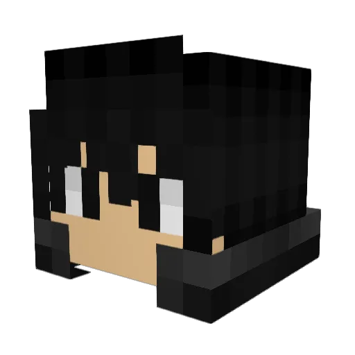 xMaxnet Minecraft avatar head, 3D render
