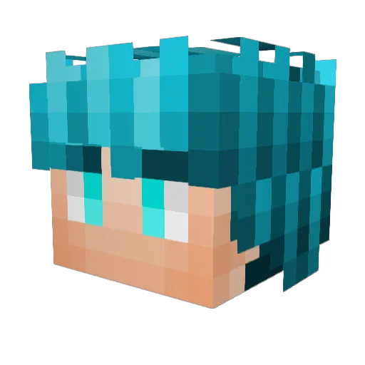 xMedical Minecraft avatar head, 3D render