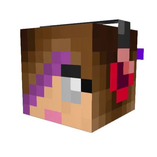 xMegarax Minecraft avatar head, 3D render