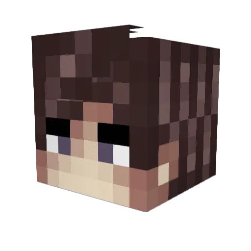 xMego2k14 Minecraft avatar head, 3D render