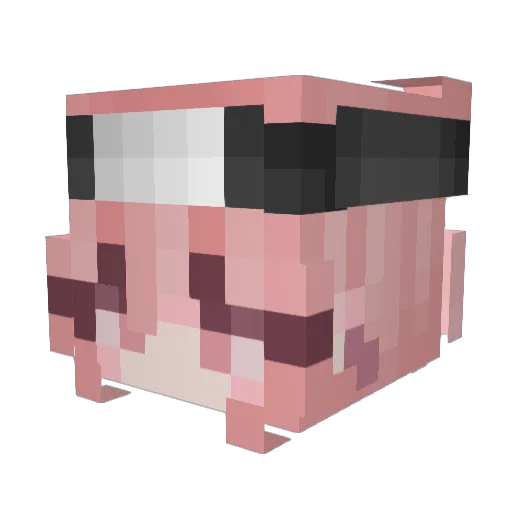 xMentya Minecraft avatar head, 3D render