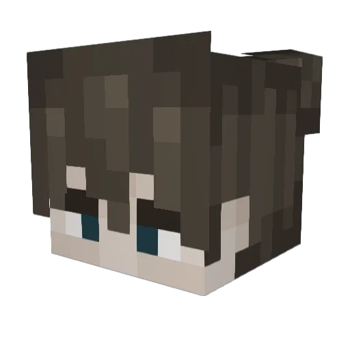 xMeooxx Minecraft avatar head, 3D render