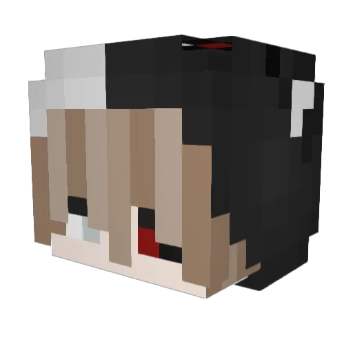 xMercedesBenz_ Minecraft avatar head, 3D render