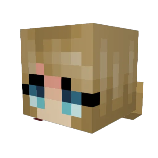 xMewz Minecraft avatar head, 3D render