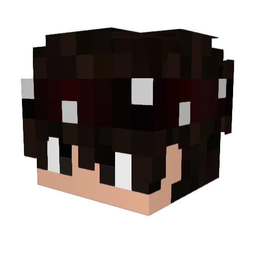 xMichu838x Minecraft avatar head, 3D render