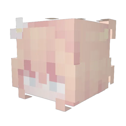 xMilenka12 Minecraft avatar head, 3D render