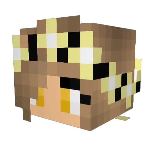 xMimix00 Minecraft avatar head, 3D render