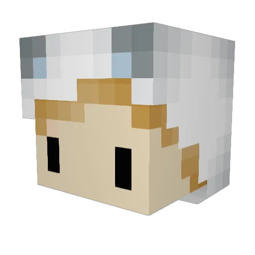 xMiniMaster27x Minecraft avatar head, 3D render