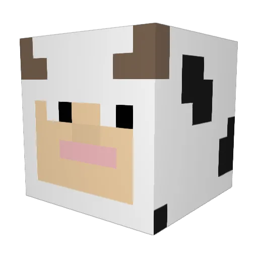 xMinorMinorx Minecraft avatar head, 3D render