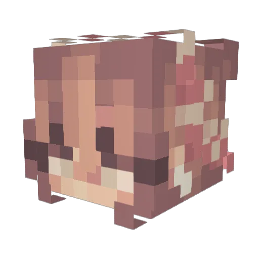 xMiso Minecraft avatar head, 3D render