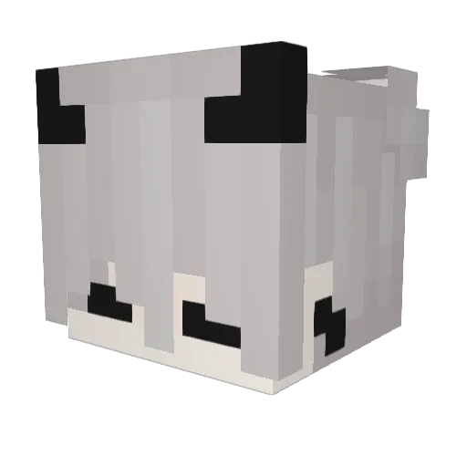 xMoonRiseYT Minecraft avatar head, 3D render
