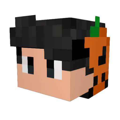 xMsdo_69exe Minecraft avatar head, 3D render