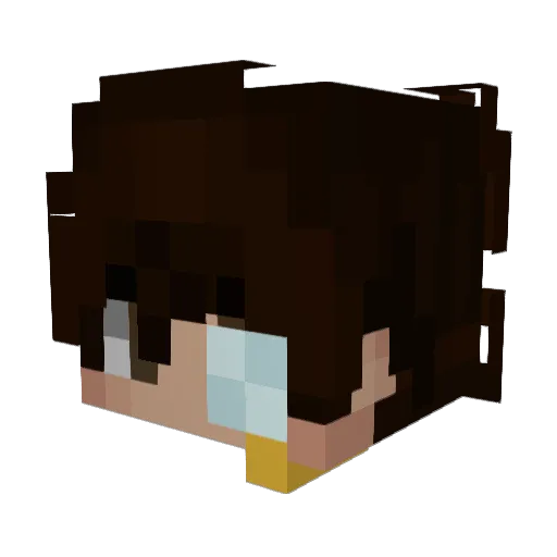 xMucki14 Minecraft avatar head, 3D render
