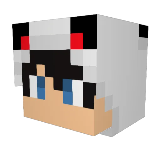 xMunchlunk1 Minecraft avatar head, 3D render