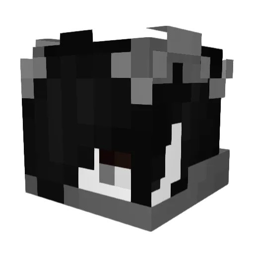 xN0N4m3 Minecraft avatar head, 3D render
