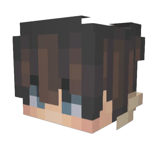 xN1cKy Minecraft avatar head, 3D render