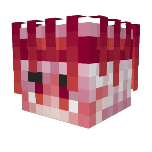 xN1ghtmare_ Minecraft avatar head, 3D render