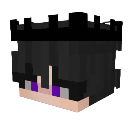 xN3xor14_ Minecraft avatar head, 3D render