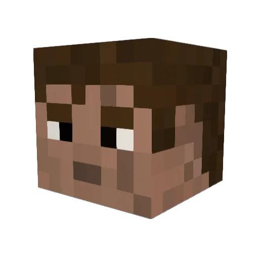 xNEKSONx Minecraft avatar head, 3D render