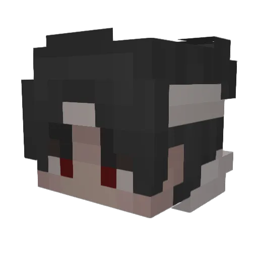 xNISSx Minecraft avatar head, 3D render