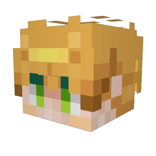 xNKSy Minecraft avatar head, 3D render