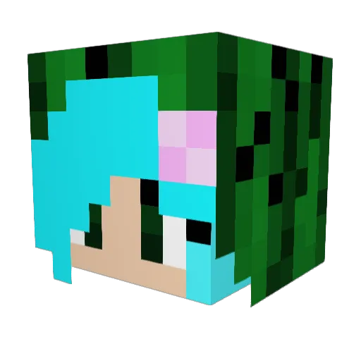 xNUMLOCKx Minecraft avatar head, 3D render