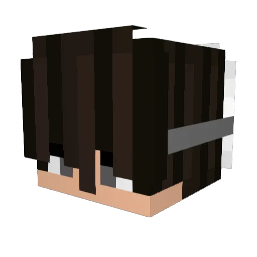 xNajlex Minecraft avatar head, 3D render